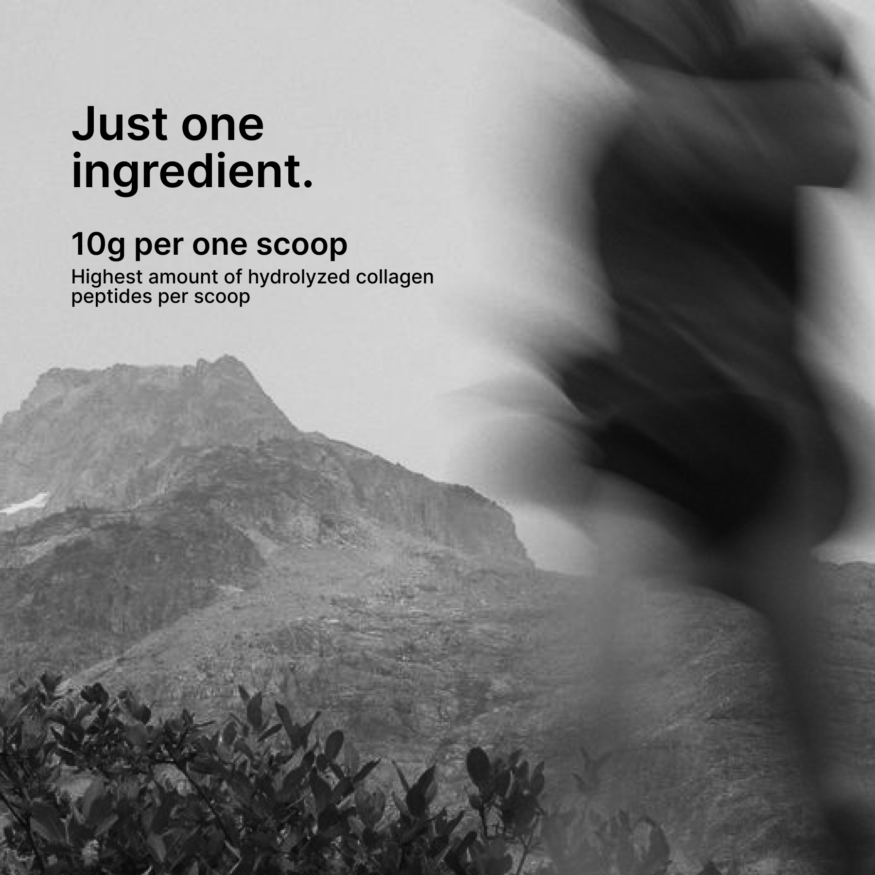 Collagen Peptides