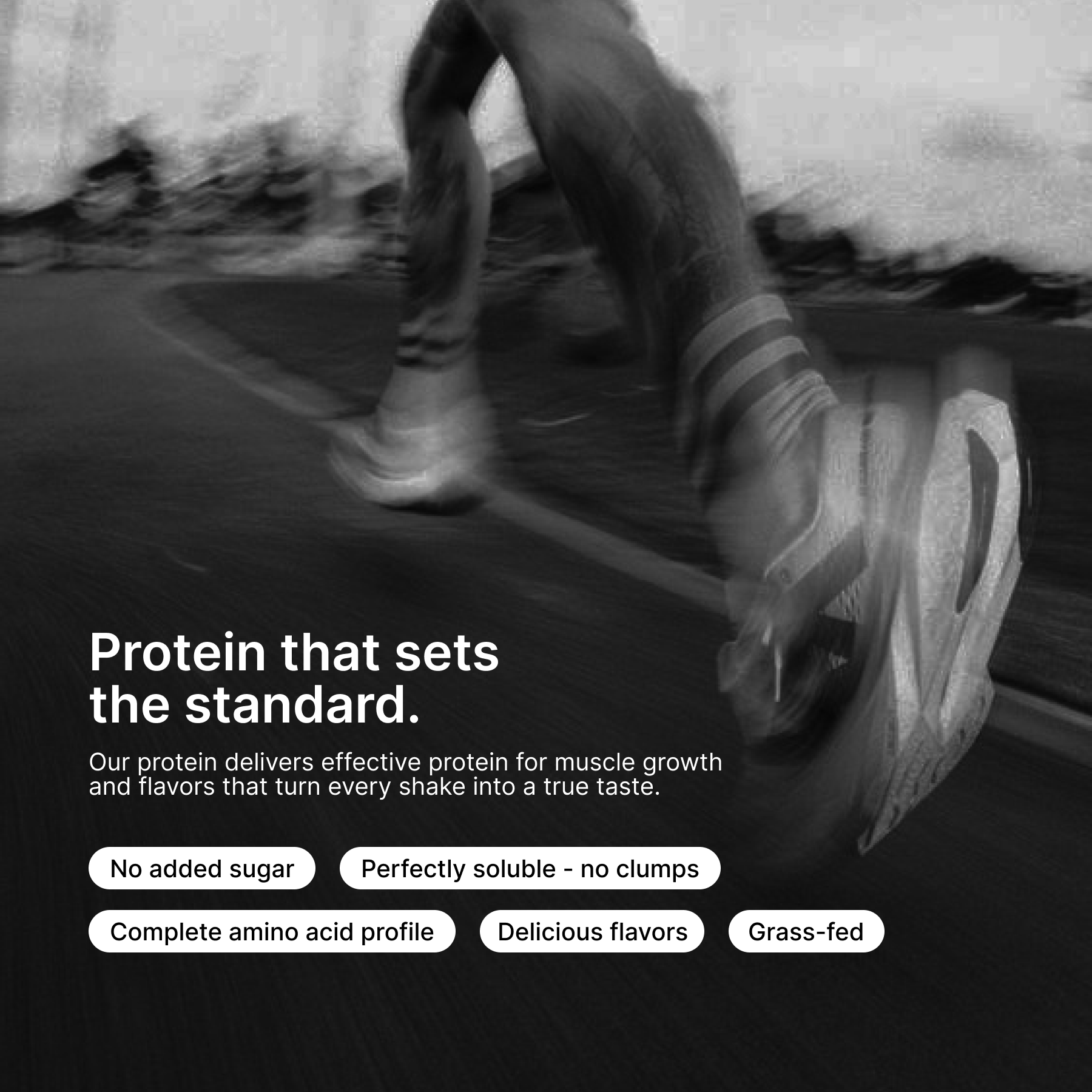 Whey Protein